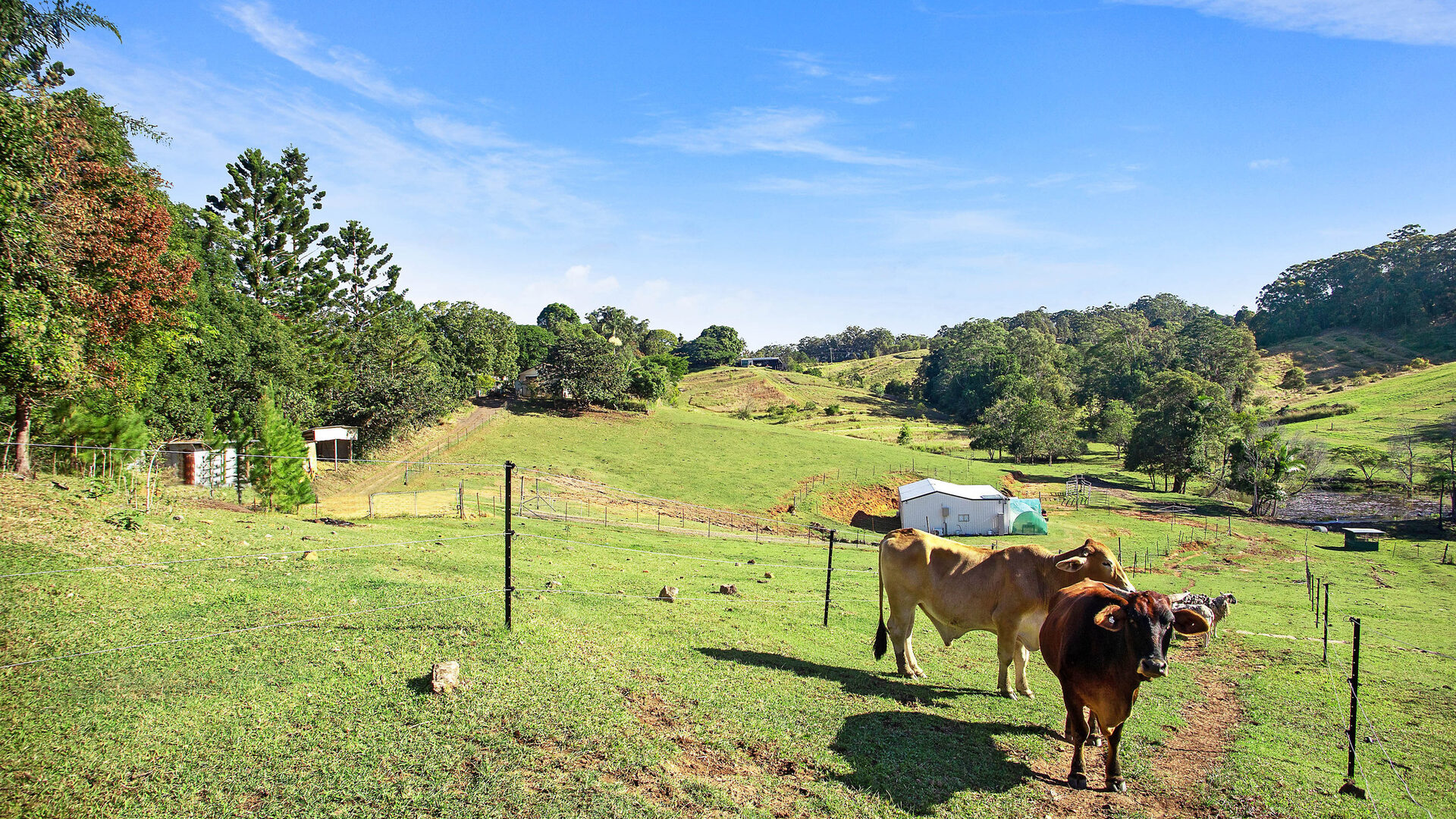 Sold - 204 Coes Creek Road - New Property in Coes Creek - Real Estate by 