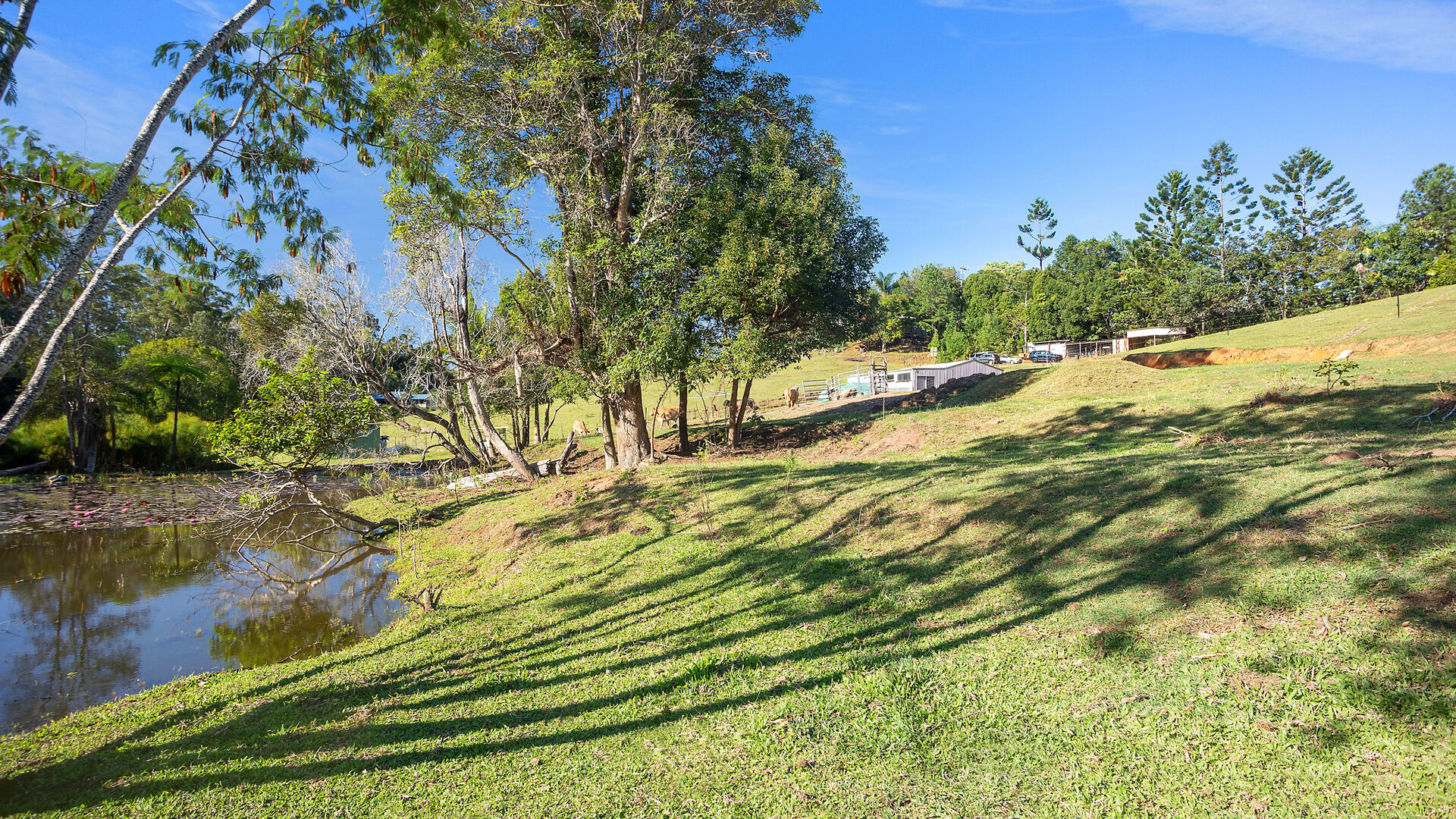 Sold - 204 Coes Creek Road - New Property in Coes Creek - Real Estate by 