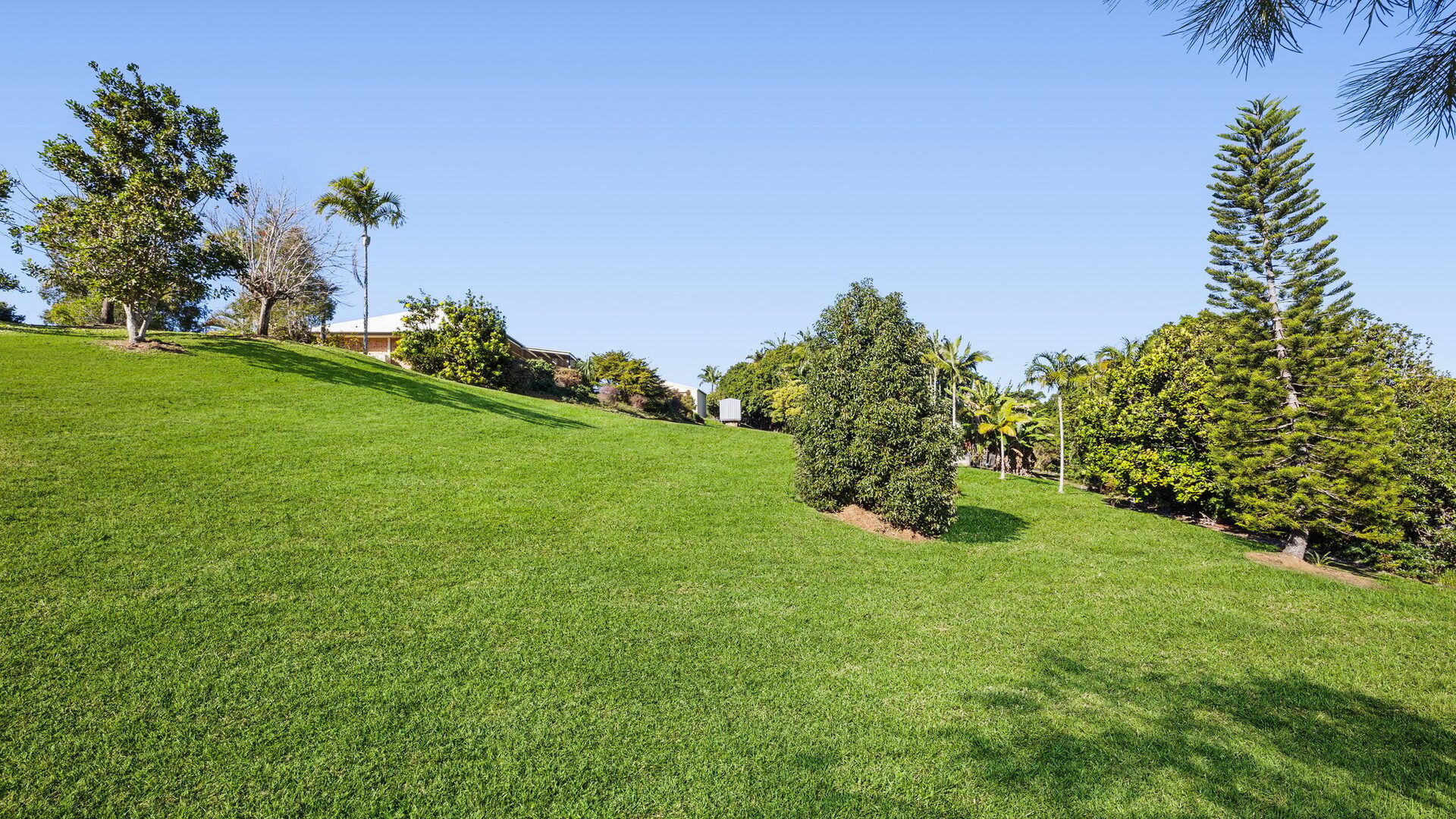 Sold - 3 Falcon Crescent - New Property in Cooroy - Real Estate by 