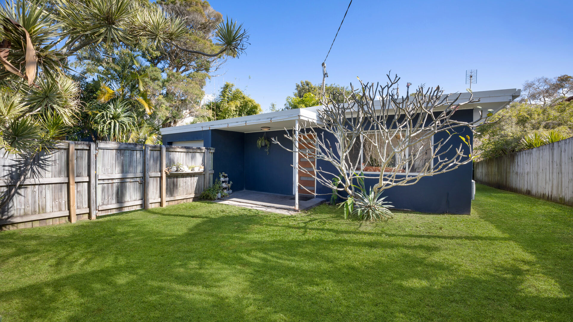 Sold - 30 Buccleugh Street - New Property in Moffat Beach - Real Estate by Vicki Stewart