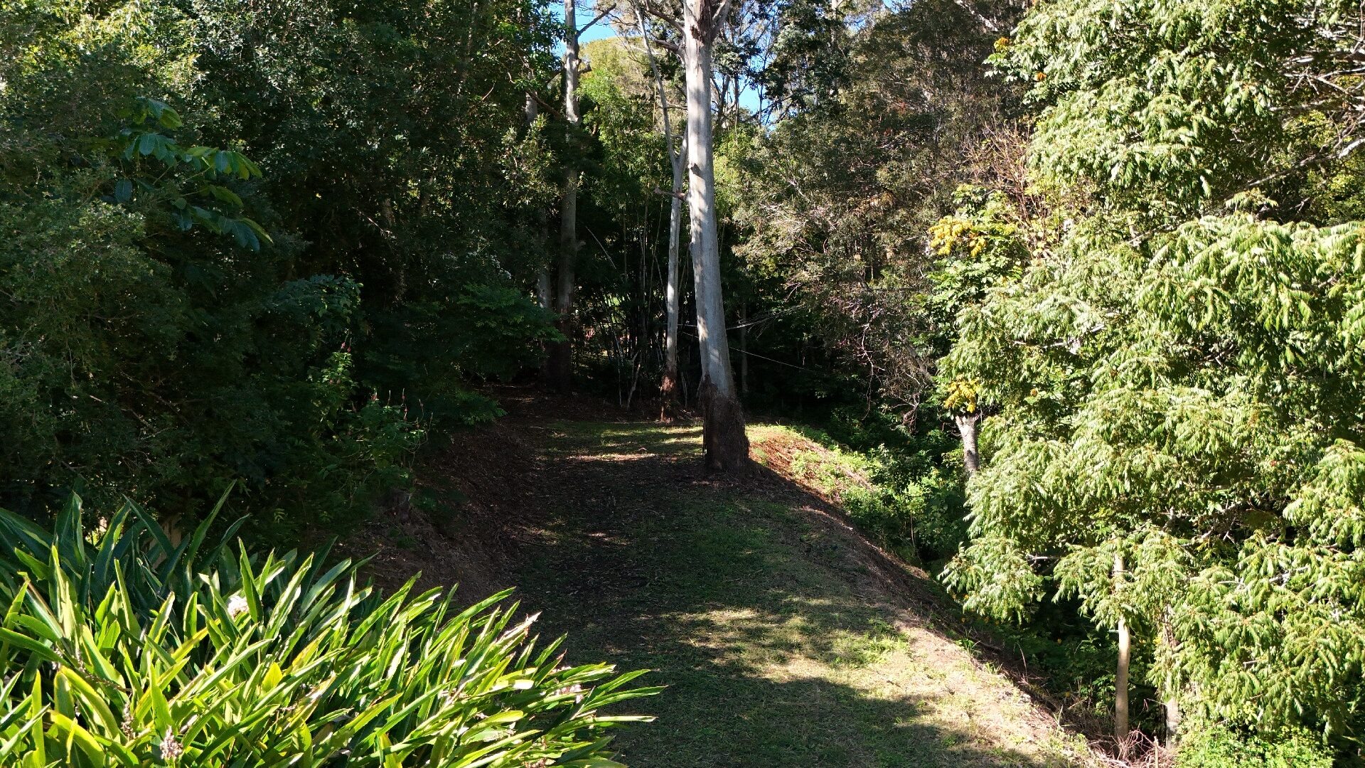 Sold - 18A Quambi Place - New Property in Buderim - Real Estate by Matt Diesel