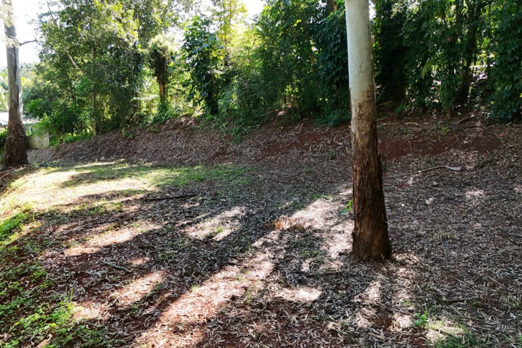 Sold - 18A Quambi Place - New Property in Buderim - Real Estate by Matt Diesel