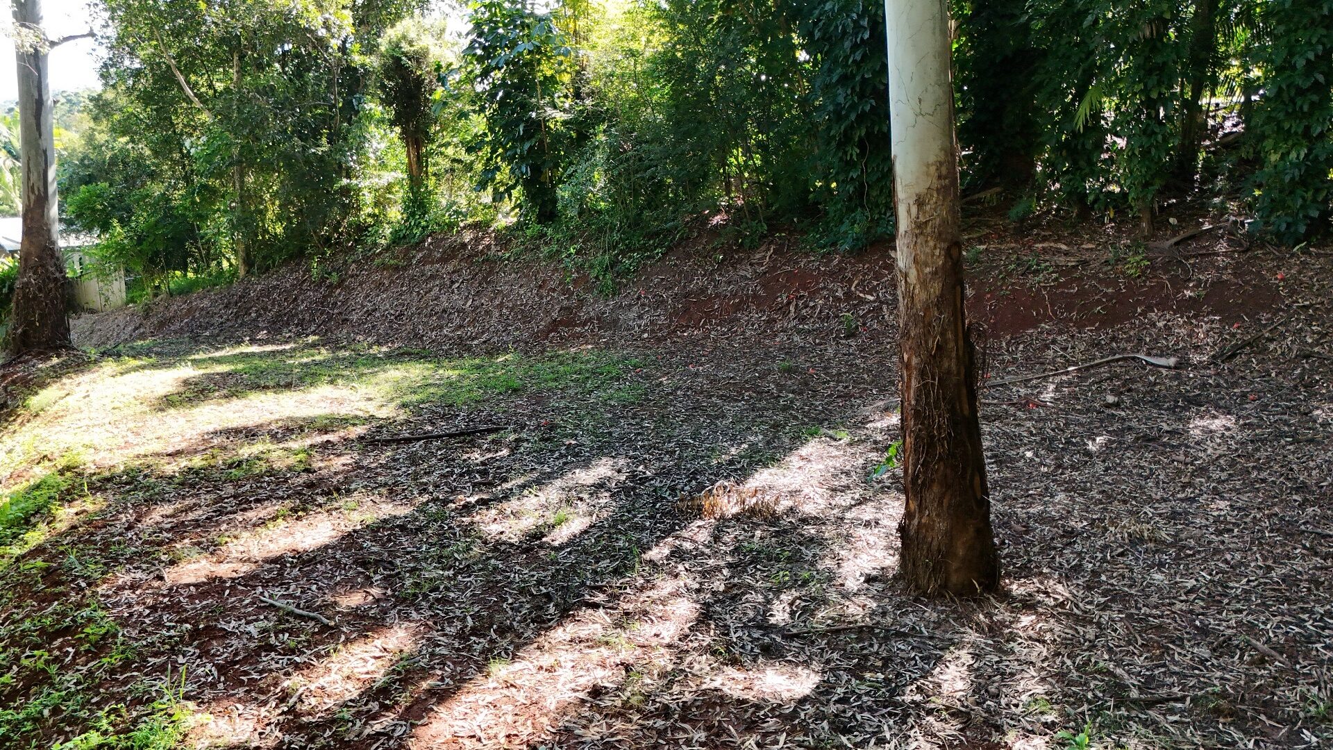 Sold - 18A Quambi Place - New Property in Buderim - Real Estate by Matt Diesel