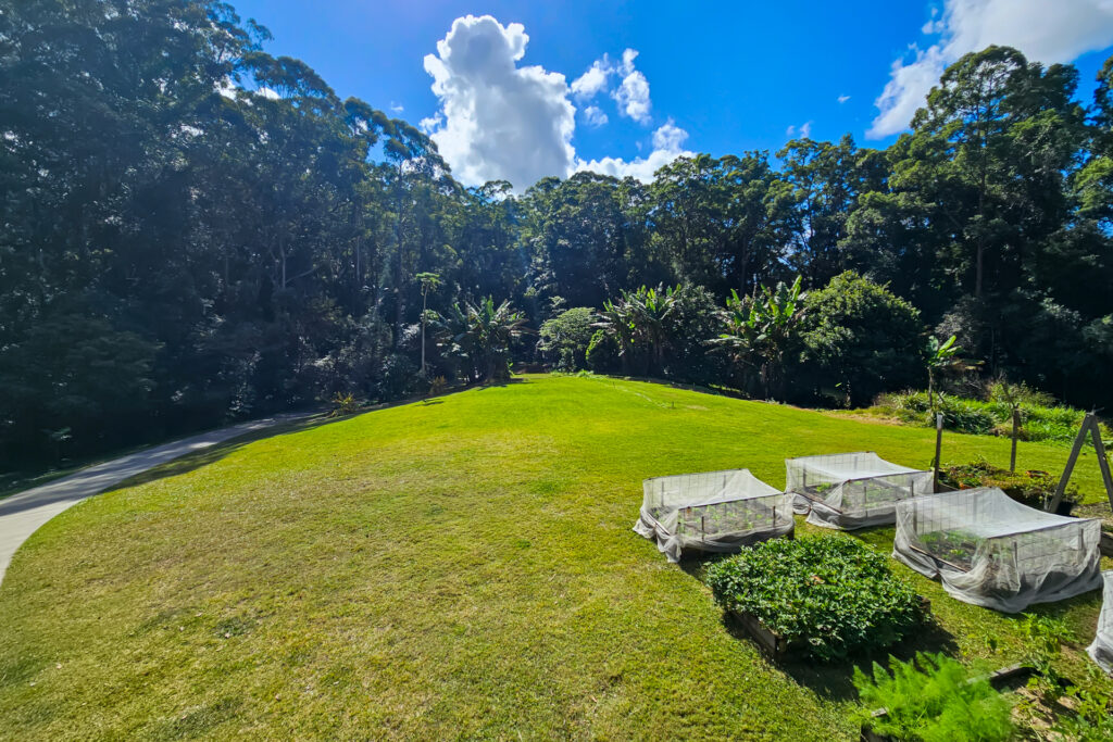 Sold - 10 Alyxia Road - New Property in Diddillibah - Real Estate by Todd McKee
