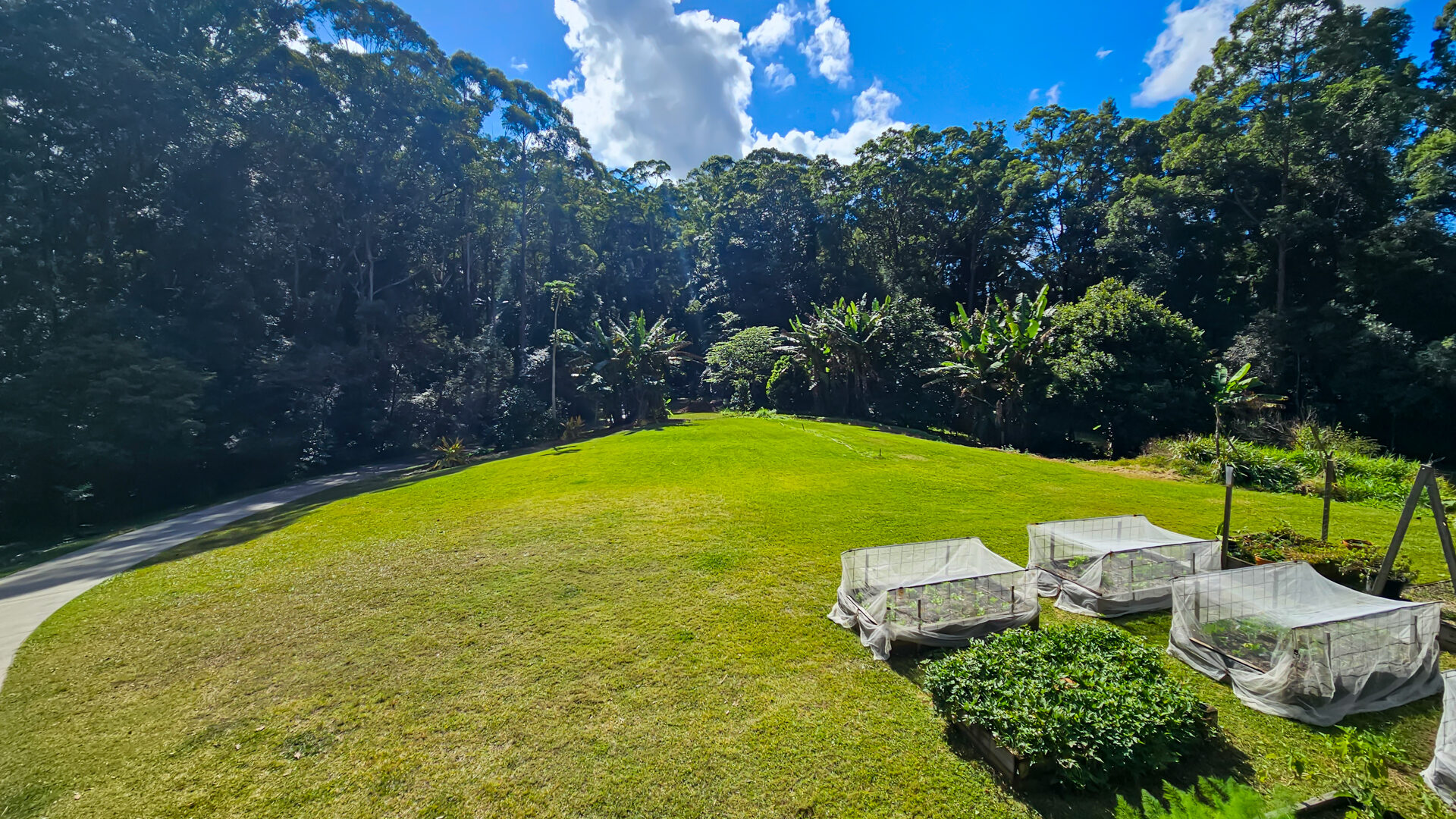 Sold - 10 Alyxia Road - New Property in Diddillibah - Real Estate by Todd McKee
