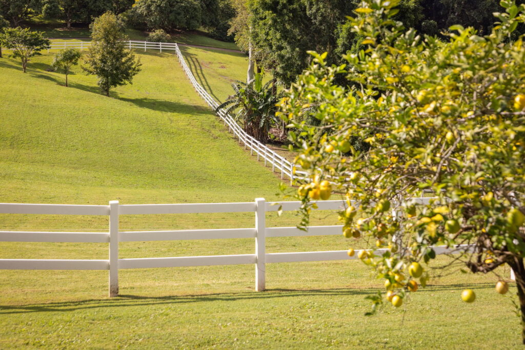 Sold - 47 Parsons Knob Road - New Property in West Woombye - Real Estate by Chris Pace