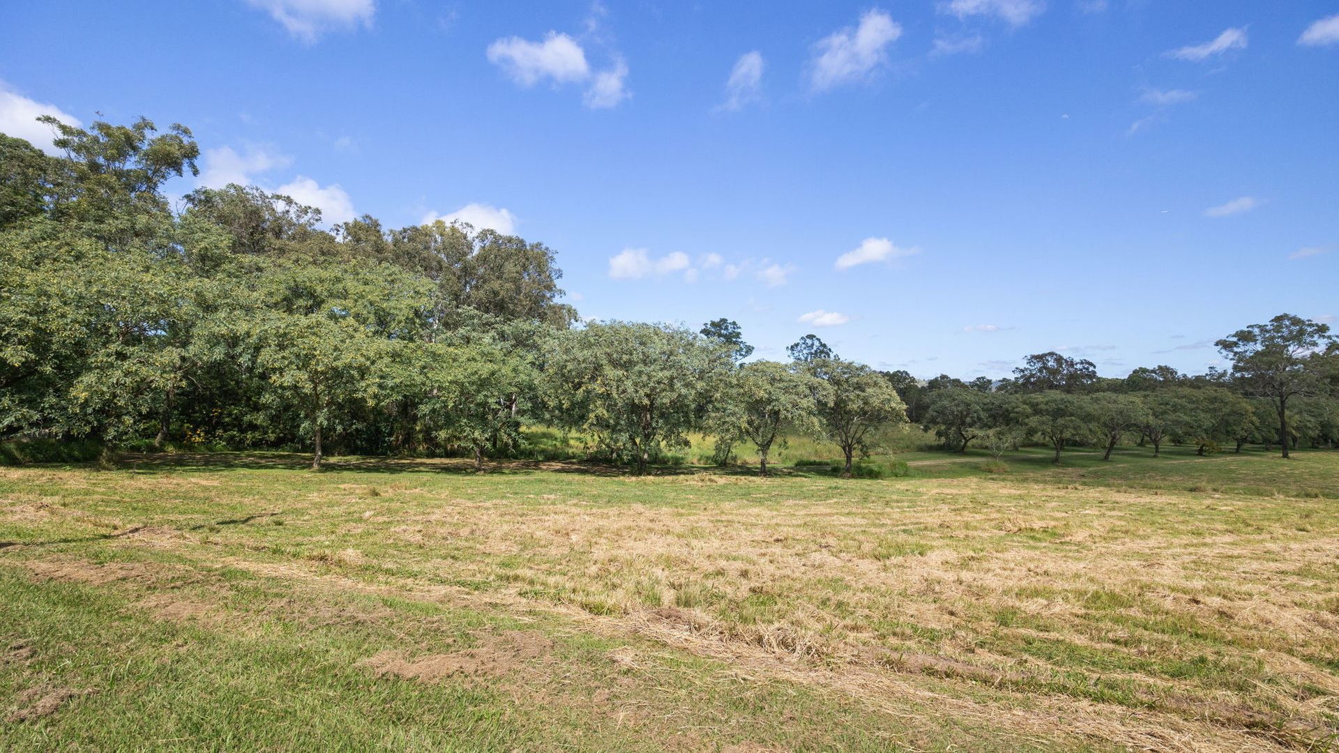 For Sale - 76-118 Chappel Road - New Property in Delaneys Creek - Real Estate by Rohan Molineux