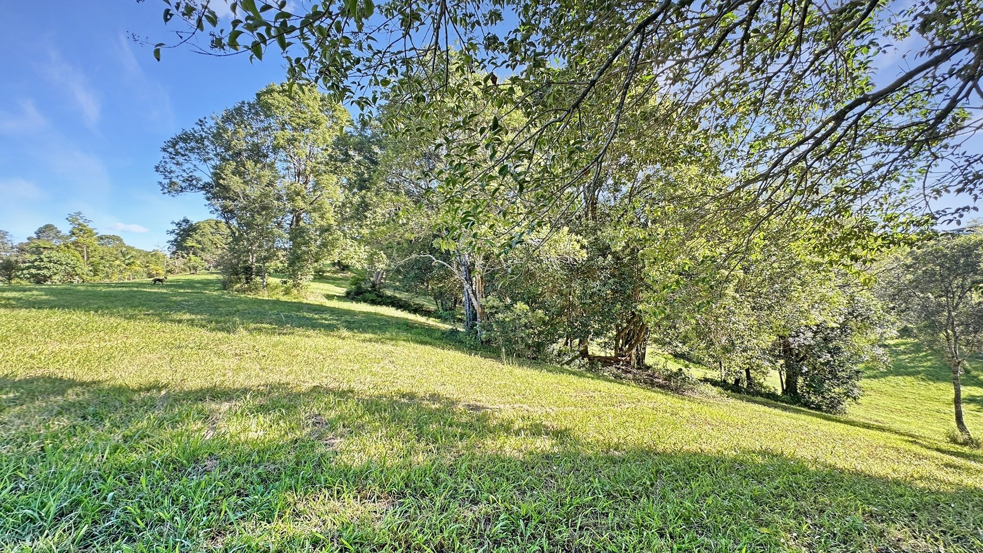 Sold - 121-143 Western Avenue - New Property in Montville - Real Estate by Shaun Hammill