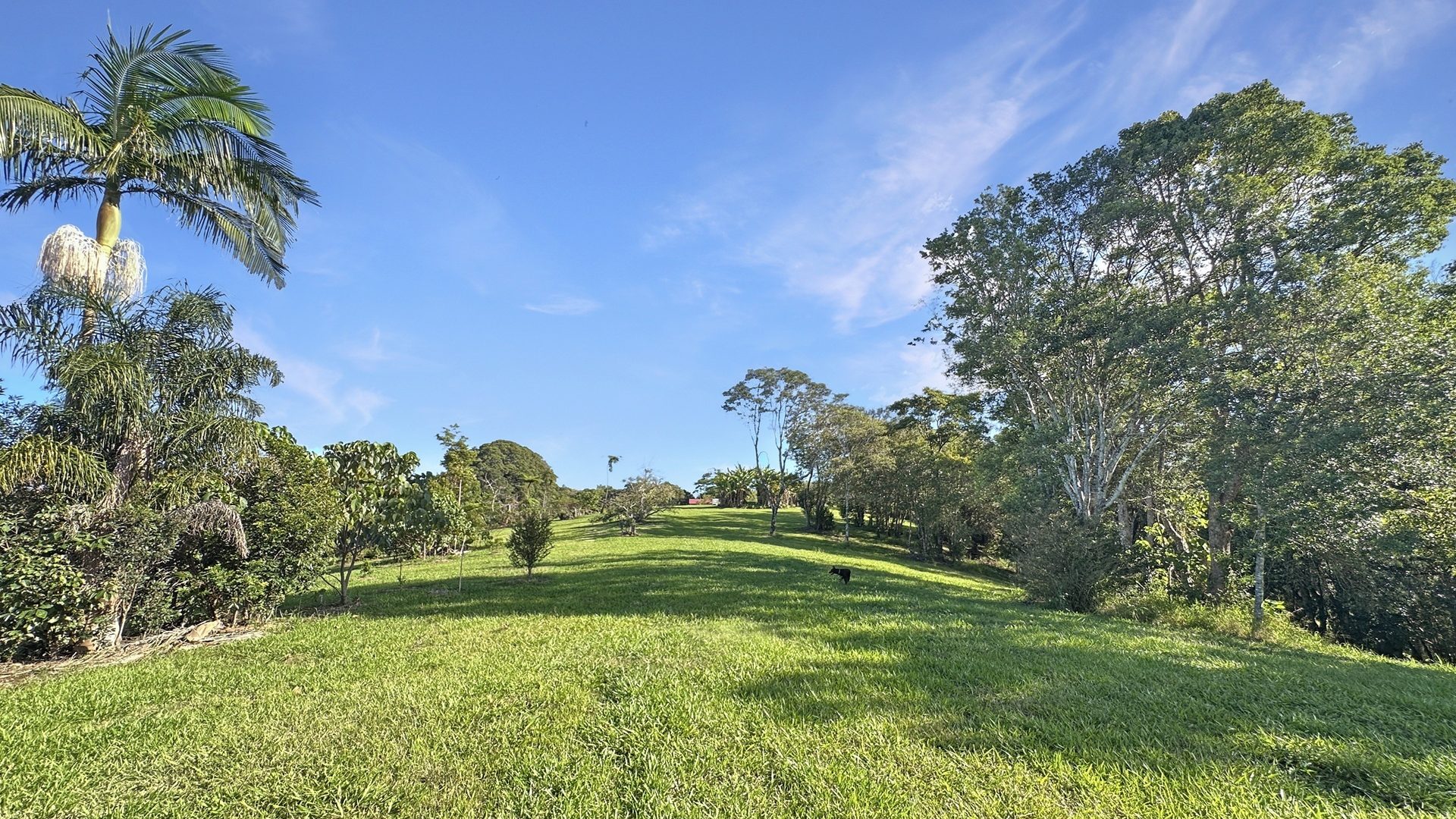 Sold - 121-143 Western Avenue - New Property in Montville - Real Estate by Shaun Hammill