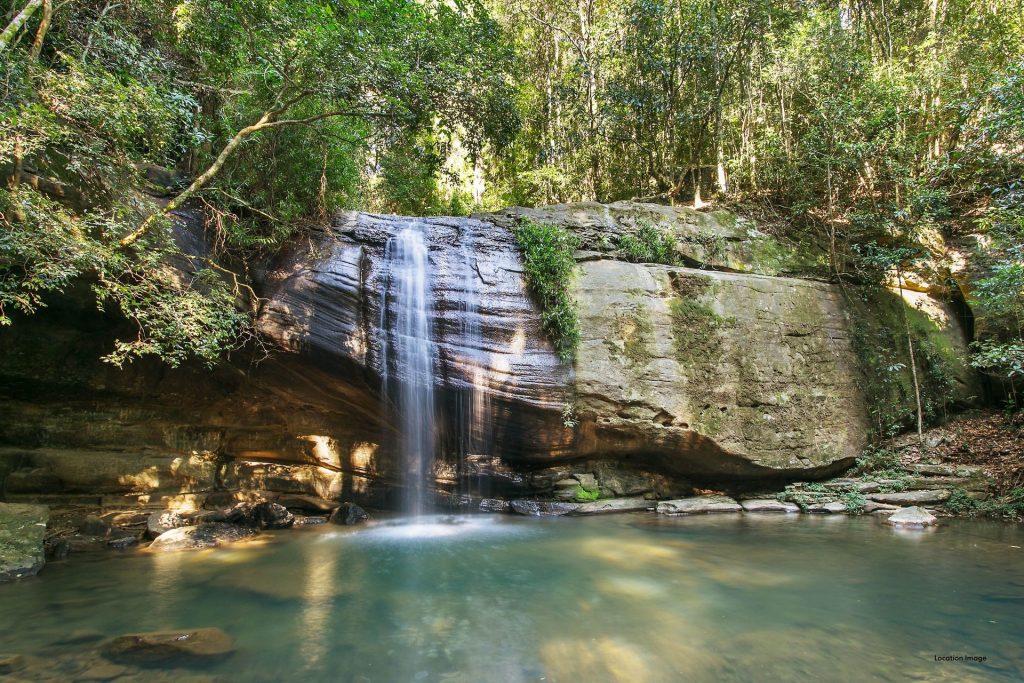 For Sale - 61-75 Vise Road - New Property in Forest Glen - Real Estate by Chris Pace