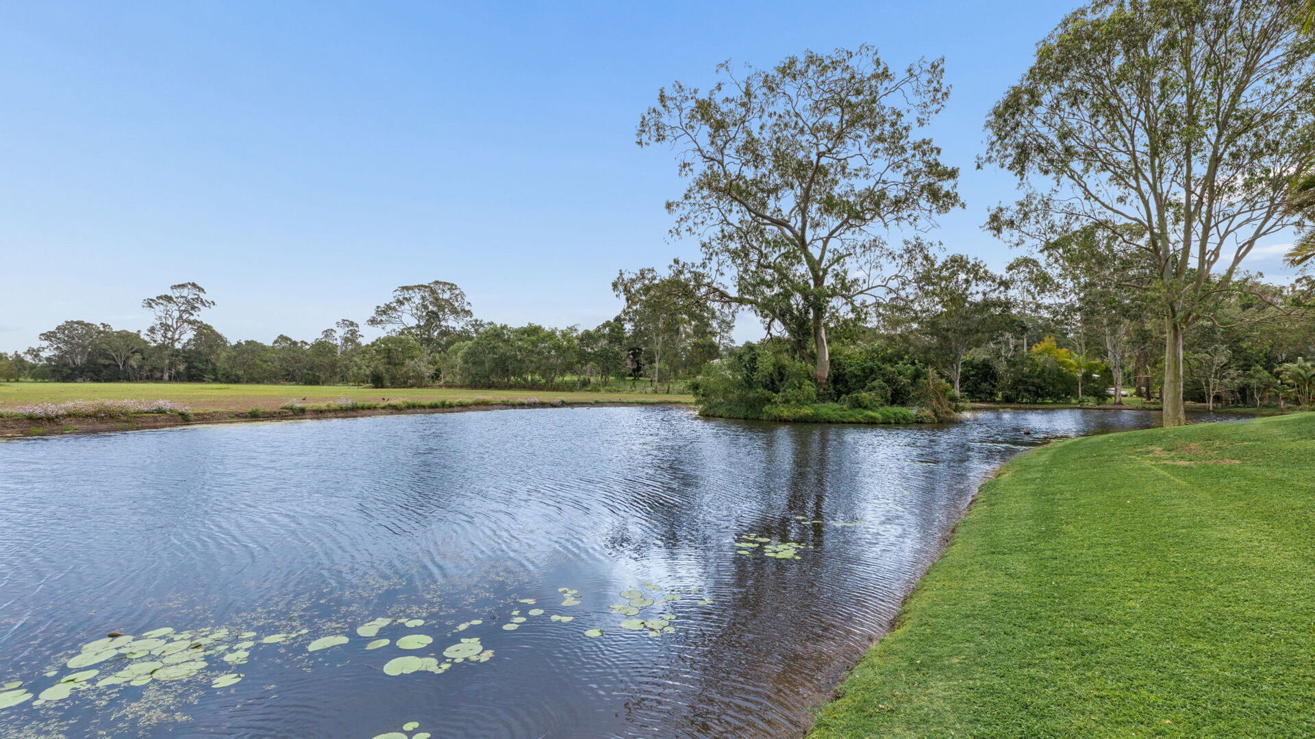 For Sale - 21 Ballantyne Court - New Property in Glenview - Real Estate by Shaun Hammill