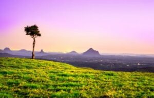 For Sale - 13 Hopper Street - New Property in Maleny - Real Estate by David Swarbrick