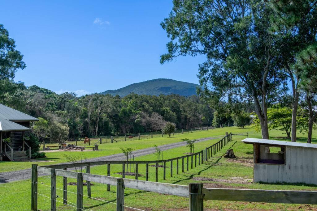 For Sale - 193 Espin Road - New Property in Bli Bli - Real Estate by Chris Pace