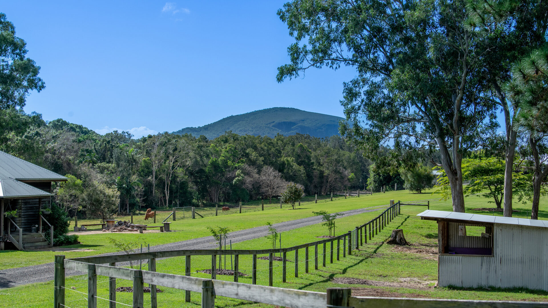 For Sale - 193 Espin Road - New Property in Bli Bli - Real Estate by Chris Pace