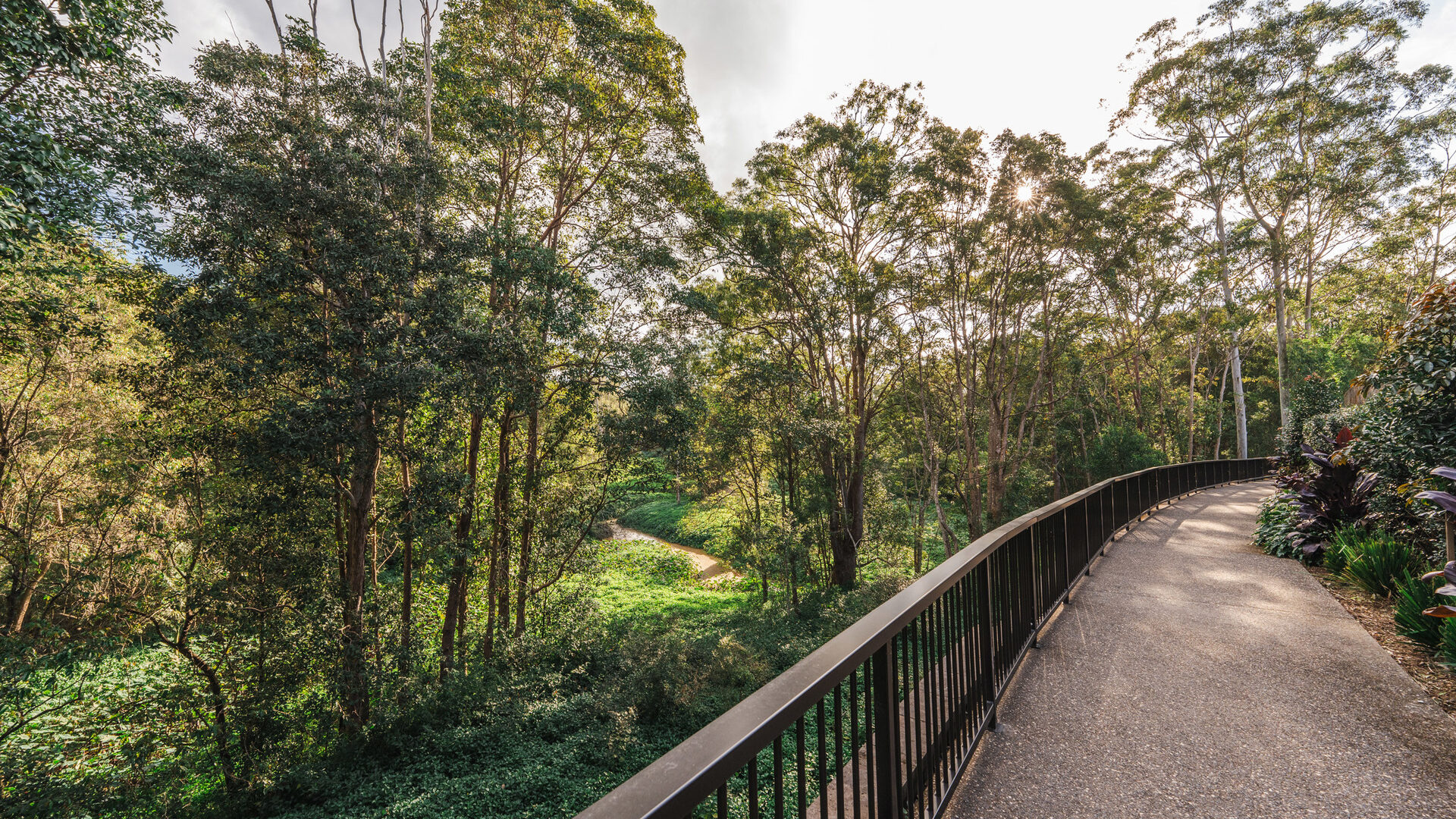 For Sale - 159/38 Landershute Road - New Property in Palmwoods - Real Estate by Trudi Fernandez